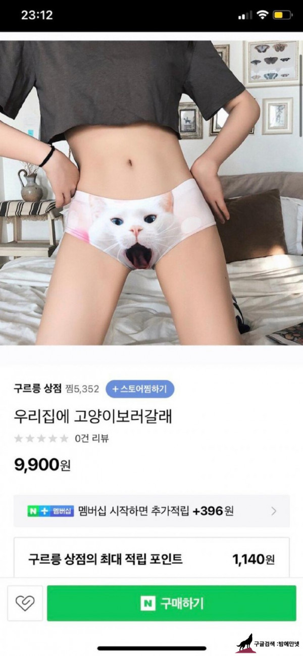 "우리집 고양이 보러 갈래...?" img #1