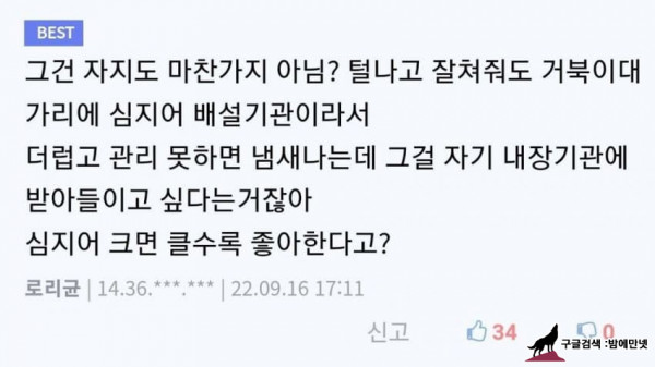 남자들은 뷰1지에 어케 박는거임? img #2