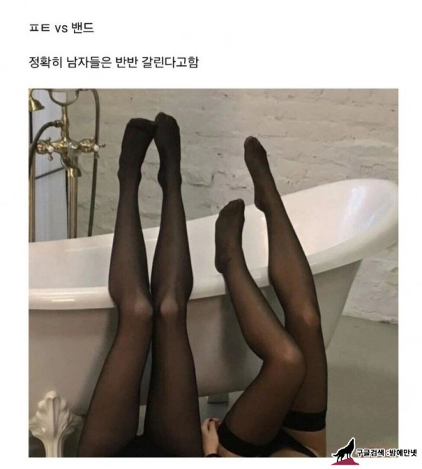 반반 갈린다는 스타킹 취향 img #1