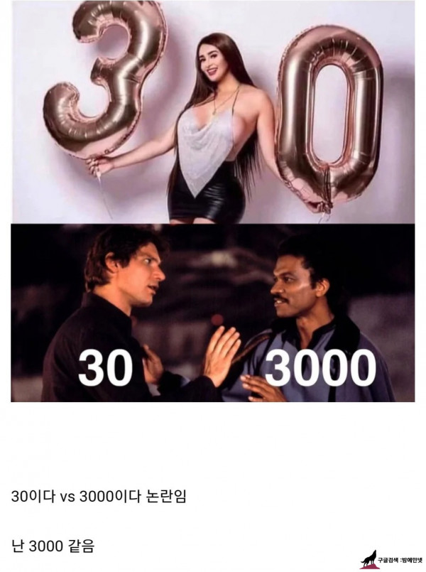 30이다 vs 3000이다 논란의 사진 img #1