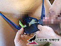 DUVV-029    若竹はづき img #13